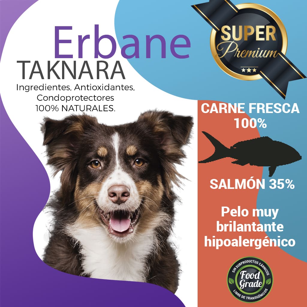 pienso para perros de salmón solo ingredientes naturales, erbane taknara