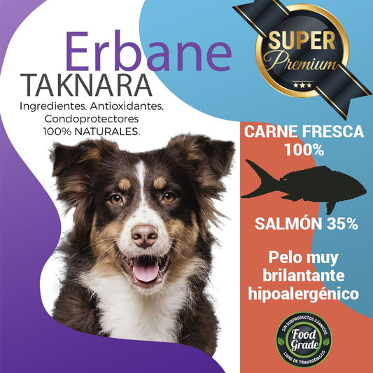 pienso para perros de salmón solo ingredientes naturales, erbane taknara